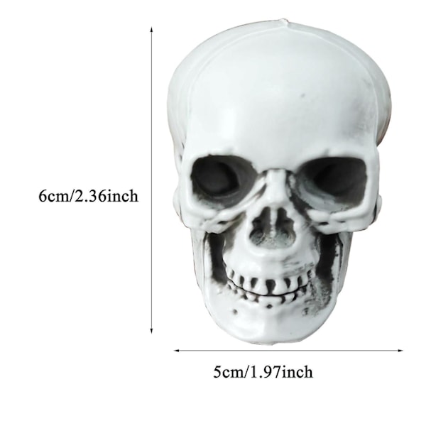 Sæsonbestemt & Julepynt 3 stk. Halloween Skeletter Plast Realistisk Falsk Simulation Menneskekranie Hoved-knogle Model Halloween Rekvisit Realistisk Mini Ske