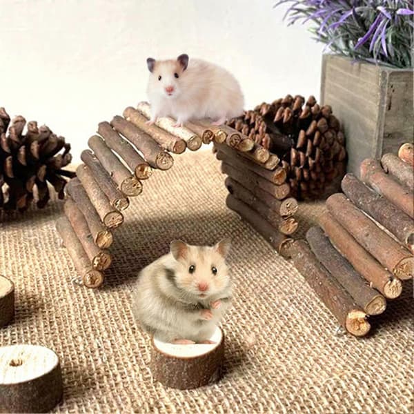 Hamsterstege Valvbro Stabil Trä Multifunktionell Djurskydd Burleksak för Papegoja