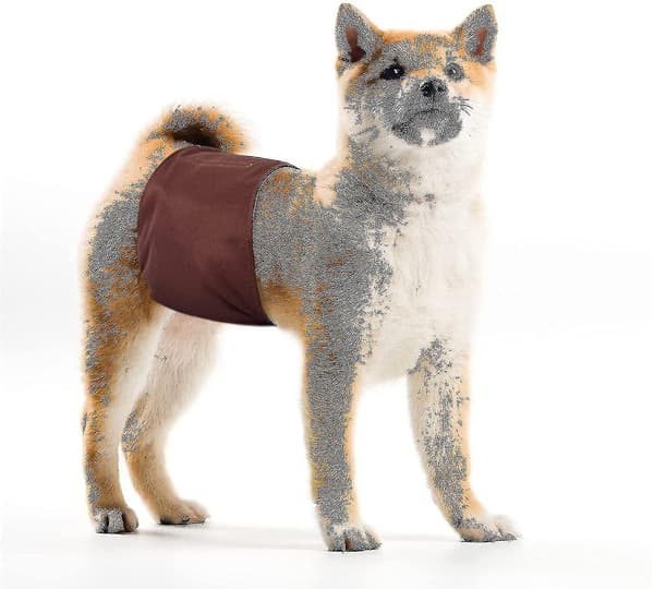 Vaskbare Hundeblær til Hanhunde (3-pak) Genanvendeligt Mavebælte til Hanhunde A