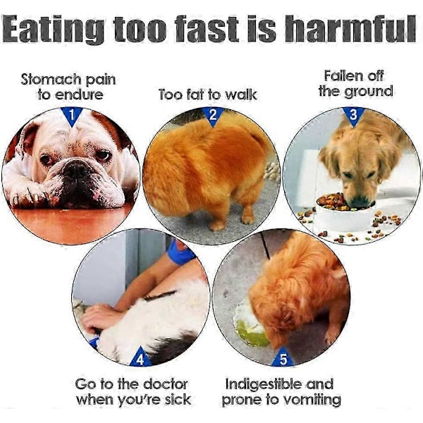 Langsom Foderskål til Hunde, Langsom Foderskål, Anti-Glubsk Skål til Hunde, Katte, Fremmer Sund Spisning og Langsom Fordøjelse (Grøn)
