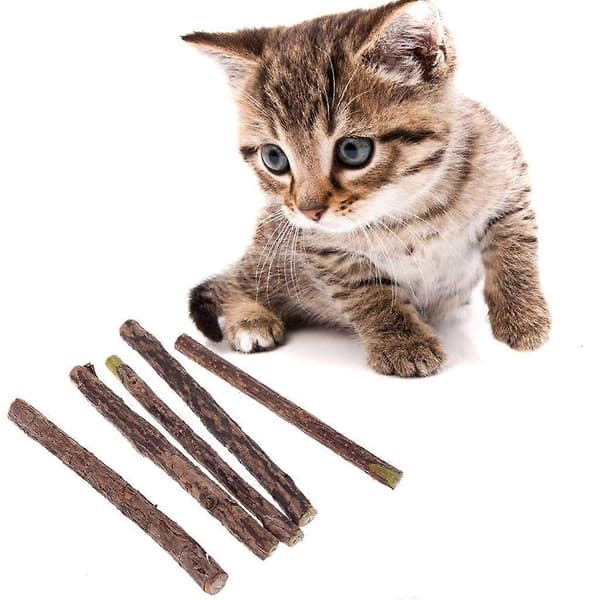Naturlige Silvervine-pinde til katte, Katteurt-pinde Matatabi tyggepinde til tænder