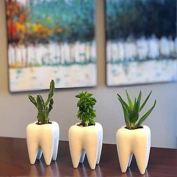 Tandformad Keramisk Blomkruka Planteringskärl Växthållare Suckulent