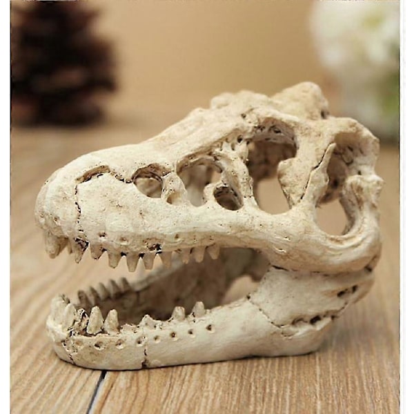 Akvariedekoration Resin Emuleret Kranie - Dinosaur Kranie Skelet Ornament - Fisketank Lille Kranie Akvariedekoration Hule Landskab Kæledyr Krybdyr Hus
