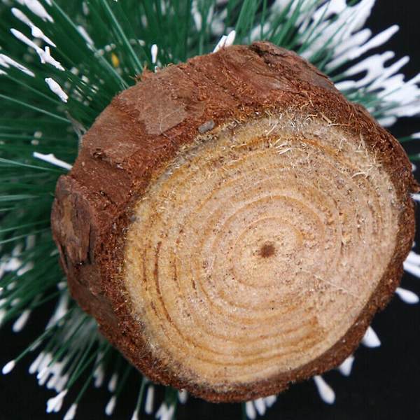 Mini Cedar Joulukuusi Led-valoilla Juhla Pieni Pine Tree String Light Home Xmas Sisustus Lahja Warm Light