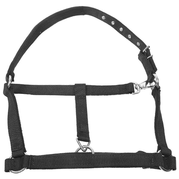 Justerbart hästgrimma Säkerhetsgrimma Ridutrustning Hästsport Svart 50.00X10.00X2.50cm Hållbarhet 1 st