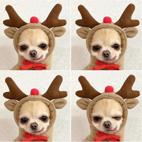 Hundhuvtröja, söta hundkläder tröja, varma kläder för små medelstora hundkatt Chihuahua Brown Reindeer L