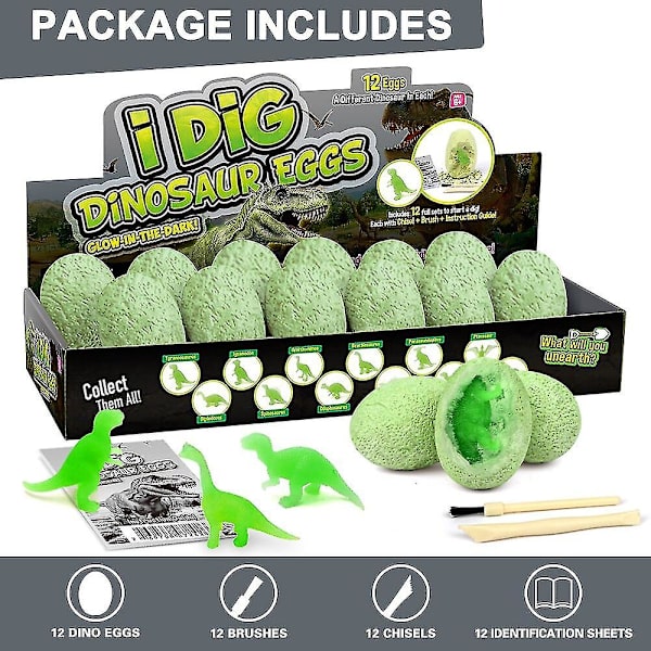 Dino Dig Kit Dinosaurie Utgrävning Kit För Barn Arkeologi Dig Kit Vetenskapliga pedagogiska stamleksaker Födelsedagspresenter till julklapp