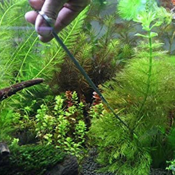 Akvarium Terrarium Saks Plantningssaks, Rustfrit Stål Akvariu XiXi