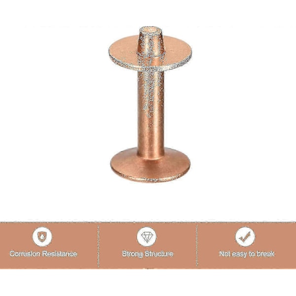 10 kpl Kupariniittejä ja -pultteja, 12x4x21mm Kiinteä Nahka Kupariniitti Kiinnike Nahka DIY-Töihin, Kuparinvärinen