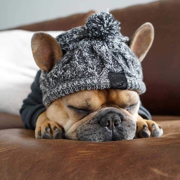 Koiran talvihattu, lämmin lemmikkipompon neulottu hattu Lämmin lemmikkieläinten neulottu Snood-päähineet korvarei'illä keskisuurille koirille ranskanbulldoggi Grey L