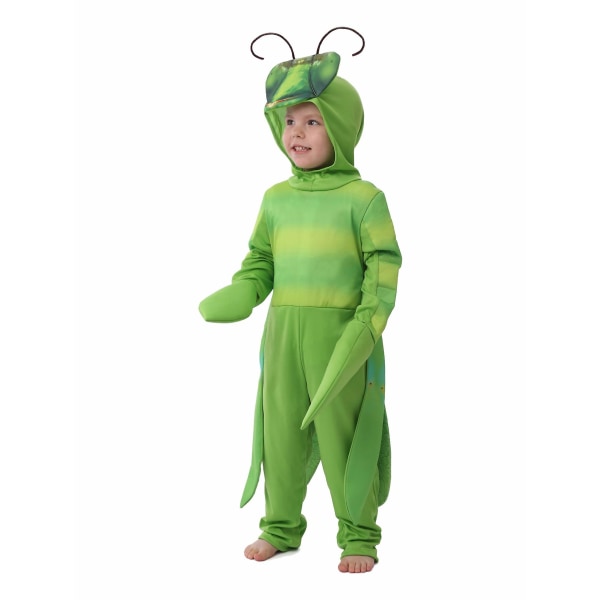 Grön insekt Bug Fyndklänning för barn Halloween kostymer Barns bönsyrsa kostym L (125cm-135cm)