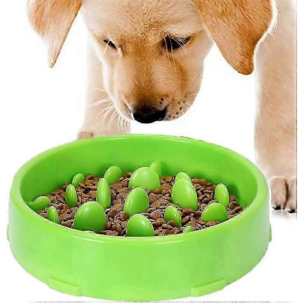 Langsom Foderskål til Hunde, Langsom Foderskål, Anti-Glubsk Skål til Hunde, Katte, Fremmer Sund Spisning og Langsom Fordøjelse (Grøn)