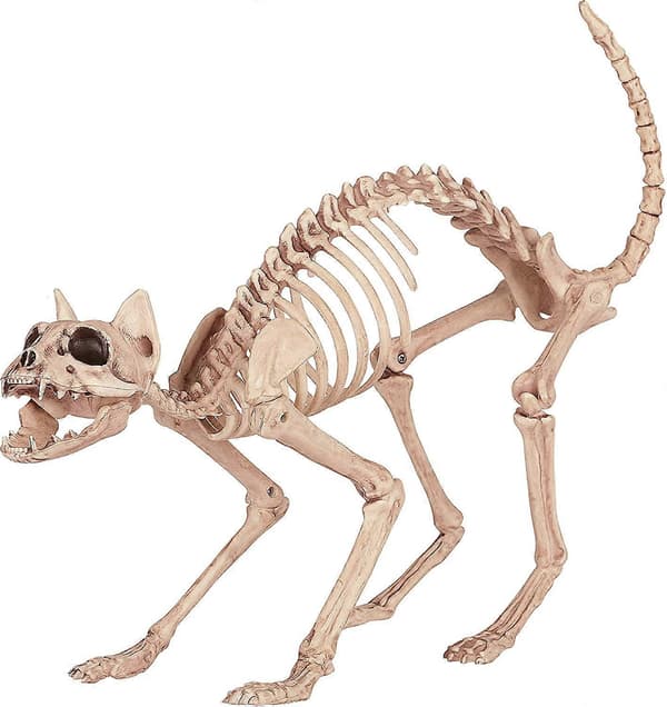 Crazy Bonez Skeletkat