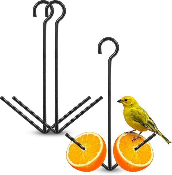 Oriole fuglefoderbræt, hængende orange frugtfoderbræt med krog, sort frugtholder til udendørs have terrasse (2 tænder) 2PCS