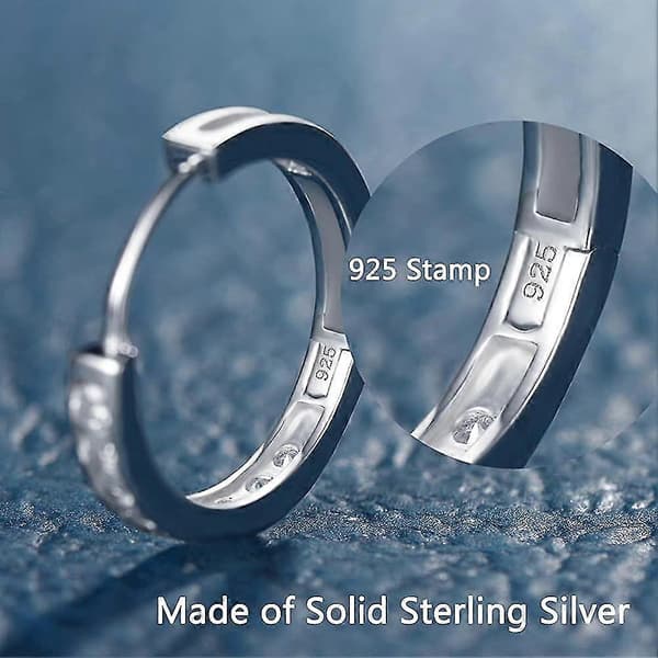 Creoler 925 Sterling Sølv Med Zirconia Sleeper Creoler Huggie