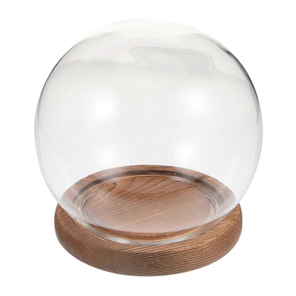 1 Set Rund Glas Cloche Glob Display Dome med Träbas Displayfodral för Evighetsblomma