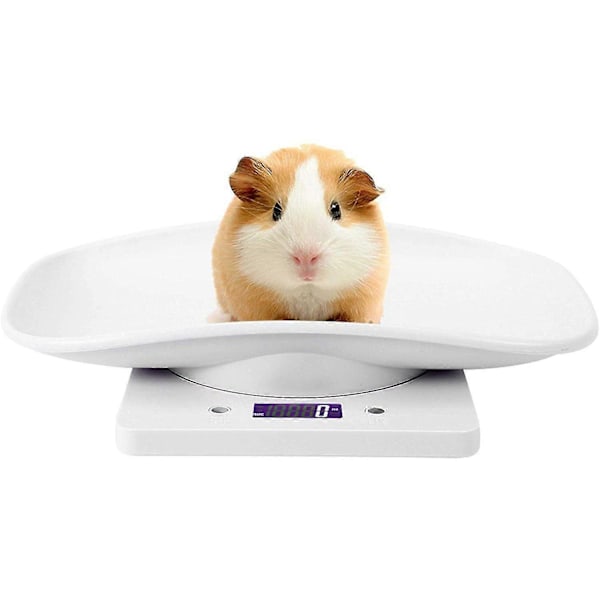 Digitala Djurvågar, Multifunktionella Vågar För Katter Hundar Mätverktyg Elektroniska Köksvågar 10kg