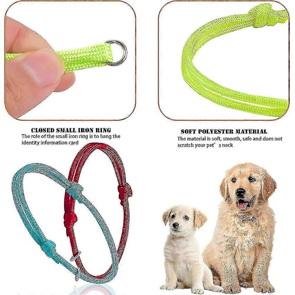 12-pack Valphalsband för Nyfödda, Valpidentifieringshalsband, Justerbart Valp- och Katthalsband för Identifiering av Husdjur FMQ