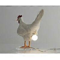 Kylling Led Egg Lampe Nattlys Utstoppet Egg Bordlampe