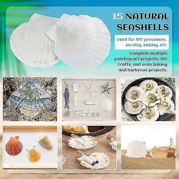 15 stk Naturlige Hvite Sjøskjell, Store, 4-4,7 Tommer Kamskjell for DIY Håndverk, Servering av Mat, Baking