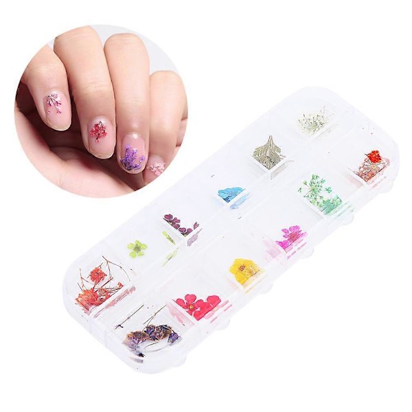 12 Farger Naturlig Tørket Blomst for Akryl UV Gel Neglekunst Tips Design Case DIY Dekor C