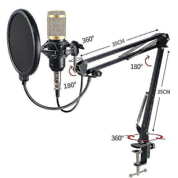 Professionellt inspelningsstudio ljudinterface inspelning extern live Bm-800 karaoke mikrofon V8 ljudkort kondensatormikrofon