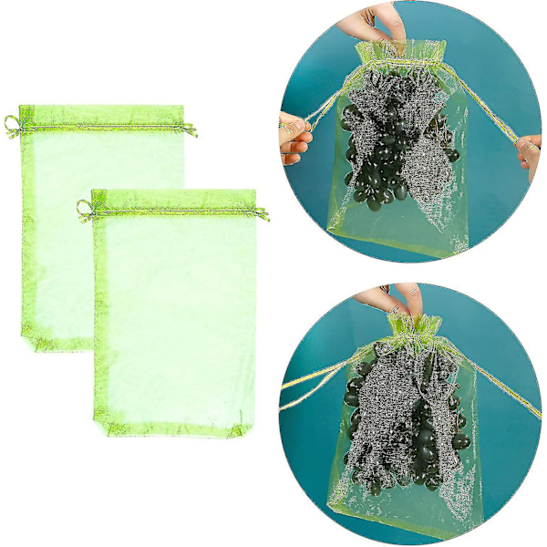 100 Stk. Beskyttelsespose til Drueklaser, Størrelse: 30 X 20 Cm, Farve: Grøn, Med Snøre, Giver Total Beskyttelse Mod Hvepse, Fugle, Materiale: Organza