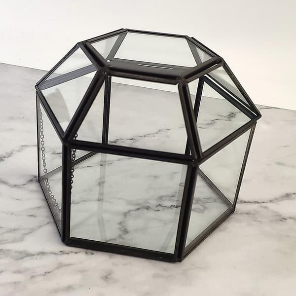 Bordplade Display Til Vitrine Med Klar Glaspanel Hængslet Låg Terrarium Boks Til