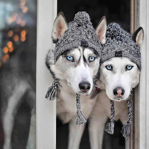 Koiran talvihattu, lämmin lemmikkipompon neulottu hattu Lämmin lemmikkieläinten neulottu Snood-päähineet korvarei'illä keskisuurille koirille ranskanbulldoggi Grey S