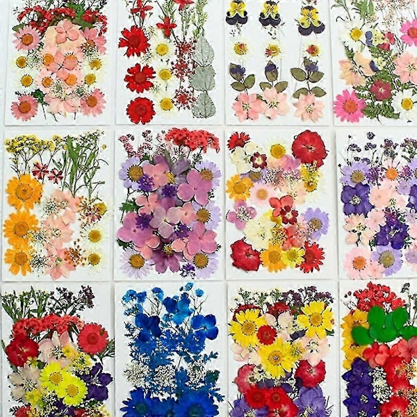 90 stk. Ægte Tørrede Pressede Blomster, Tørre Pressede Blomster Til Resin Naturlige Pressede Blomsterblade Farverige Tørrede Pressede Blomster Til DIY Håndværk Lys J