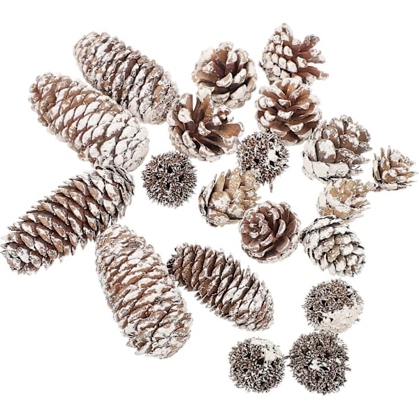 Dekorationer med torkade tallkottar, julpysselset, DIY-hantverk, dekoration för pysselfantaster, 1 set