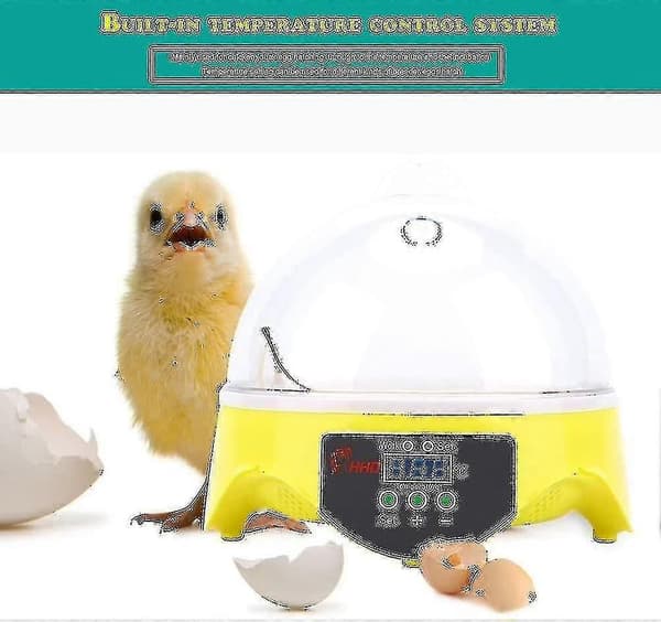 Automatisk 7-egg inkubator Digital egginkubator med automatisk vending
