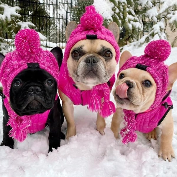 Pet Pompom -neulottu hattu,kissan pörröinen lämmin cap Kitty Villainen päähine, pitkä punos, koiranpennun lemmikkiasusteet Pink L
