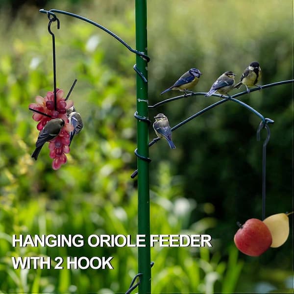 Oriole fuglefoderbræt, hængende orange frugtfoderbræt med krog, sort frugtholder til udendørs have terrasse (2 tænder) 2PCS