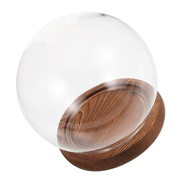 1 Set Rund Glas Cloche Glob Display Dome med Träbas Displayfodral för Evighetsblomma