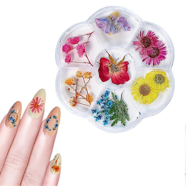 1 Laatikko Kuivattuja Kukkia 6 Ruudukkoa Kynsien Koristelu DIY Kynsitaide Tekokukkia Naisille Manikyyri DIY Kynsien Koristeet 05