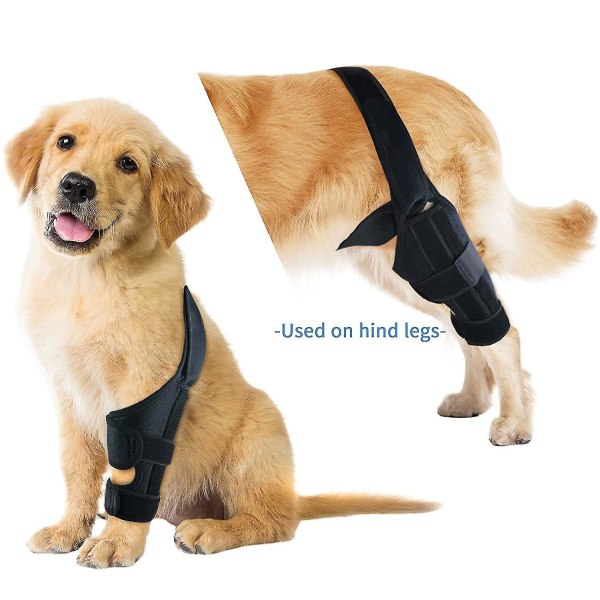 Hundknäbyte Hundbensbygel för sönderriven Acl Bakben Hundhöftbygel för stöd,hund Acl-knästöd för luxating patella, reducerar artritsmärta