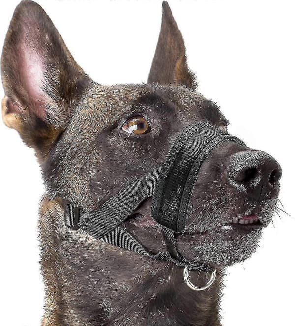 Hundekurv i nylon med blød polstring, justerbar løkke, sort