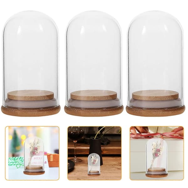 5 st Glasdisplaykupa med platta, bevarad blombricka med kupa, klart displayställ