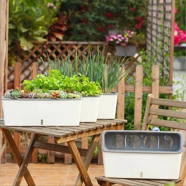Plast Blomsterkasser for Grønnsaker Plassbesparende Design minimalistisk stue
