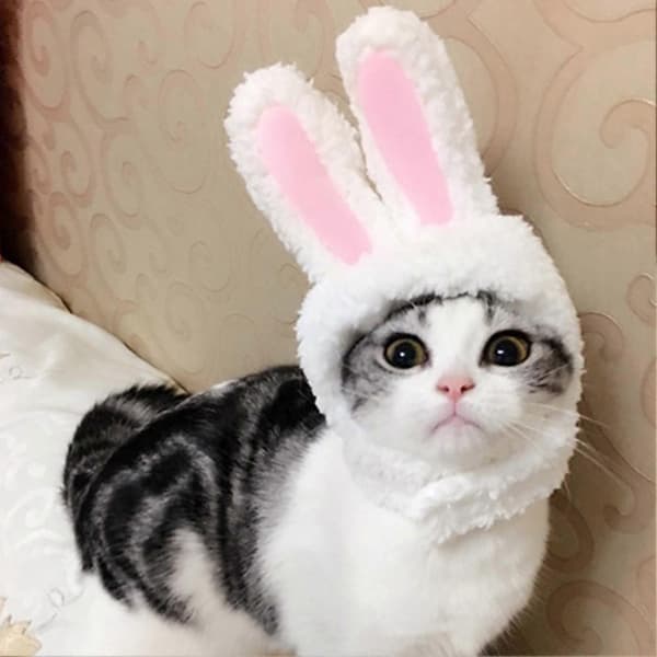 Pet Head Wear Renfarget Bærbar Elastisk Hodeplagg Hettehatt for Beskyttelse
