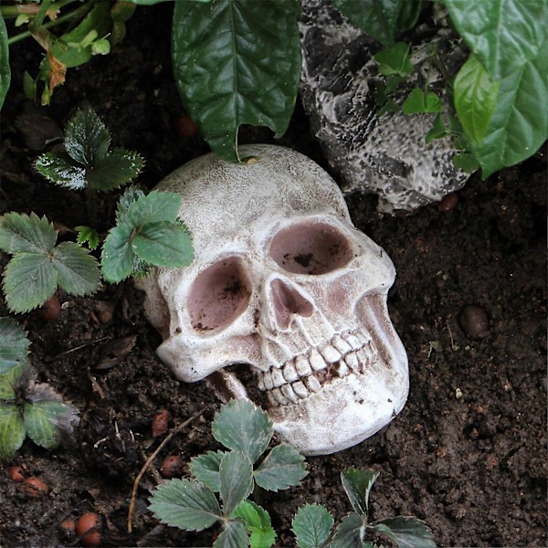 Realistinen Elämänkokoinen Pääkallokoriste Ihmisen Pääkallo Halloween Sisustus Hartsi Kauhupatsas Vedenpitävä Koti Toimisto Piha Koristelu