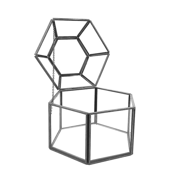 Bordplade Display Til Vitrine Med Klar Glaspanel Hængslet Låg Terrarium Boks Til