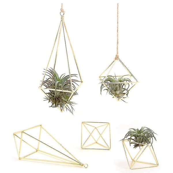 Lufthållare 5-pack Metall Dekor Modern Geometrisk Hängare Hängande Luftväxter Planteringskärl Bordsdisplay