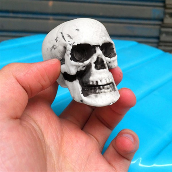 Sæsonbestemt & Julepynt 3 stk. Halloween Skeletter Plast Realistisk Falsk Simulation Menneskekranie Hoved-knogle Model Halloween Rekvisit Realistisk Mini Ske