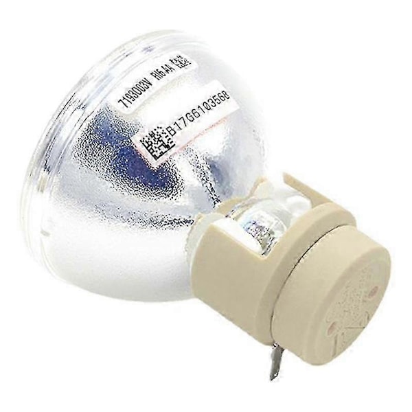 Kompatibel W1070 W1070+ W1080 W1080ST HT1085ST HT1075 W1300 Projektorlampe Pære 240/0.8 E20.9N kompatibel med
