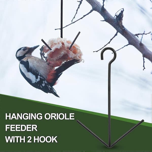 Oriole fuglefoderbræt, hængende orange frugtfoderbræt med krog, sort frugtholder til udendørs have terrasse (2 tænder) 2PCS