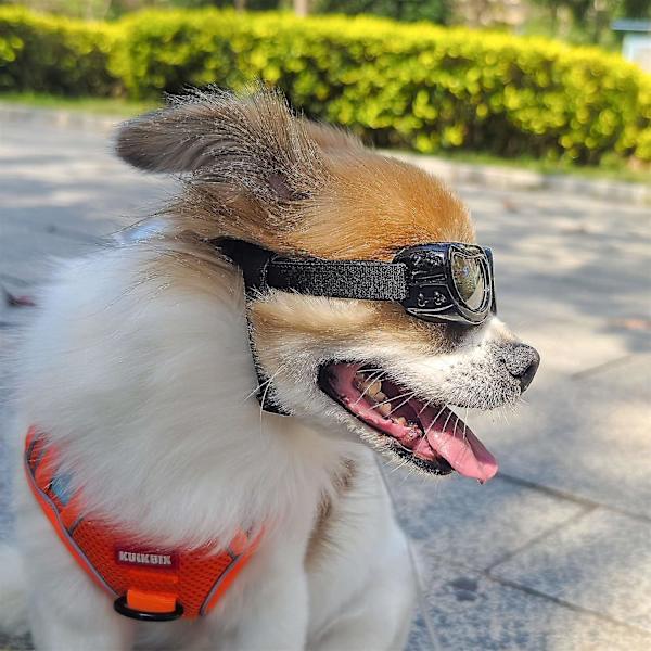Hundglasögon Liten ras,hundsolglasögonglasögon,Uv-skydd Hundsolglasögon för katt, valp utomhuskörning White