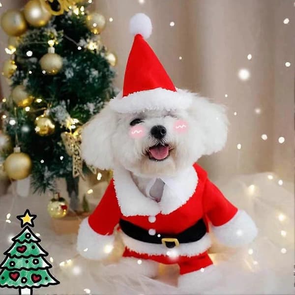 Kæledyrs Julemandskostume med hue - Søde julemandskjoler til hunde, hvalpe og katte, kæledyrskostume til højtiden S