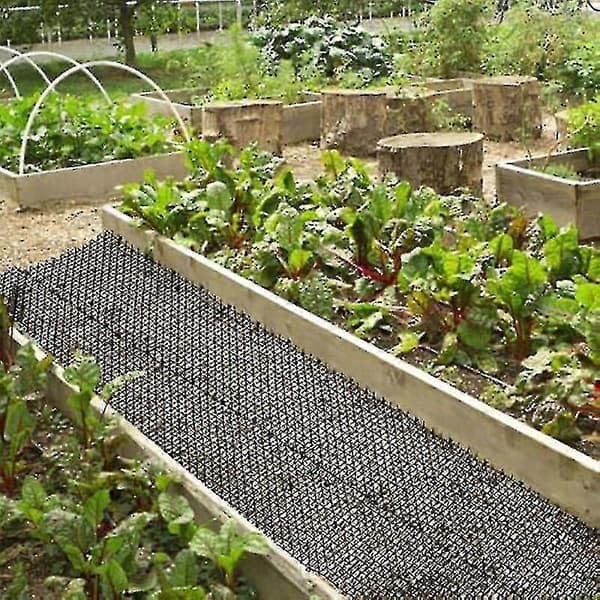 2m Katte Matte Med Pigger Med Anti-katte Graveplugg For Hagebeskyttelse Planter